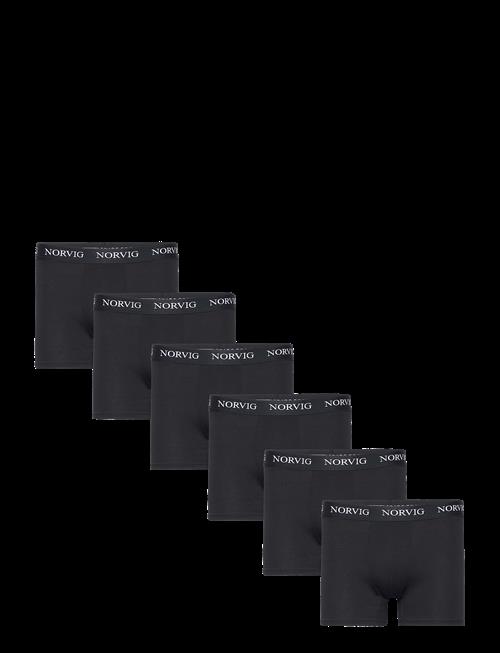 NORVIG | 6-Pack Mens Tights | L