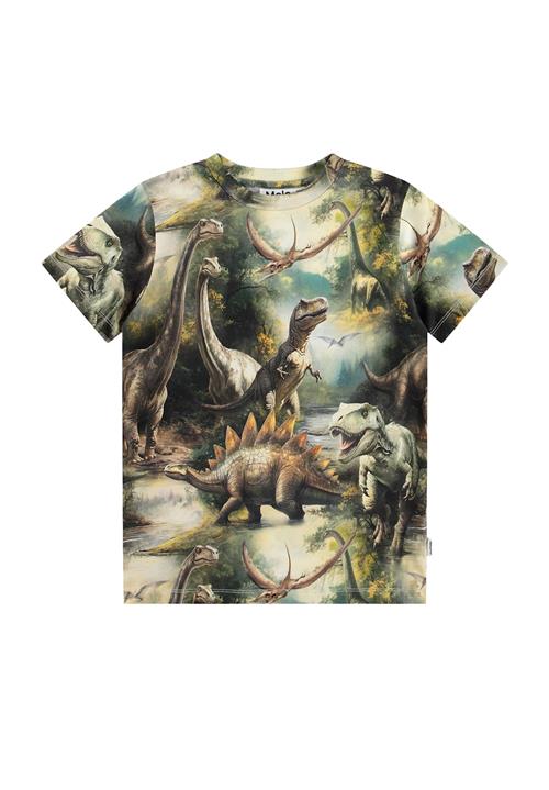 Molo Ralphie T-Shirts Short Sleeves Dino Harmony Dino Harmony 122 cm  Brun  122 cm  Drenge