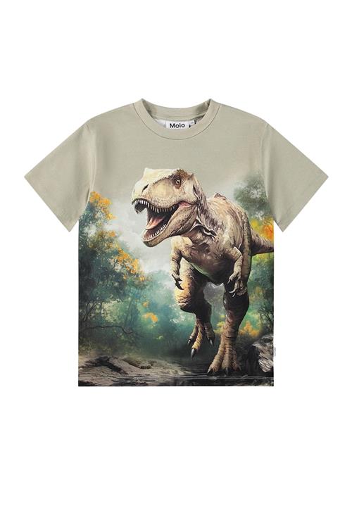 Molo Riley T-Shirts Short Sleeves Leafy Rex Leafy Rex 104 cm  Grøn  104 cm  Drenge