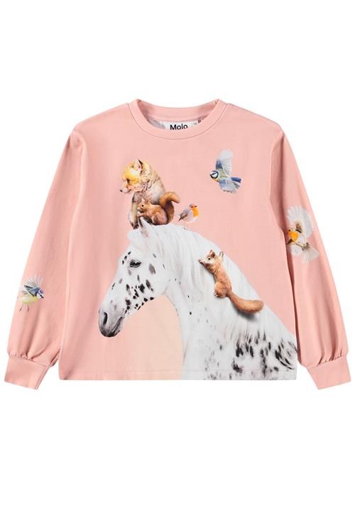Molo Raffy T-Shirts Long Sleeves Entourage Entourage 140 cm  Lyserød  140 cm  Piger