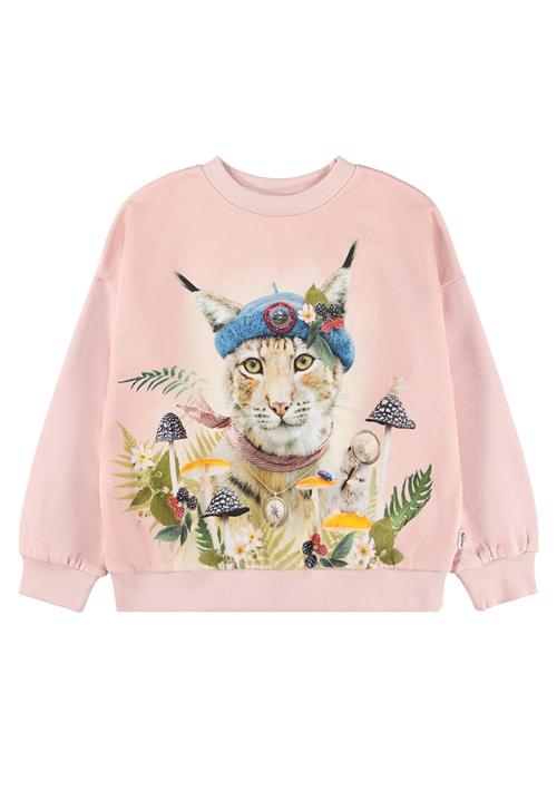 Molo Maxi Sweatshirt Nature Explorer  Nature Explorer 128 cm  Lyserød  128 cm  Piger