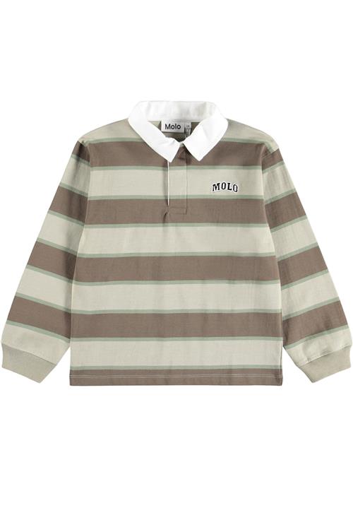 Molo GOTS Relz Poloshirt Ground Stripe  Ground Stripe 116 cm  Brun  116 cm  Drenge