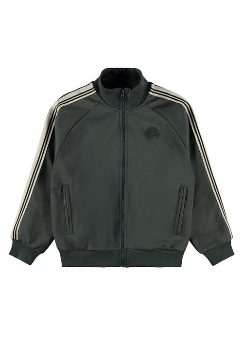 Molo Meracer Sweat Shirt Taxus Taxus 122 cm  Grøn  122 cm  Drenge