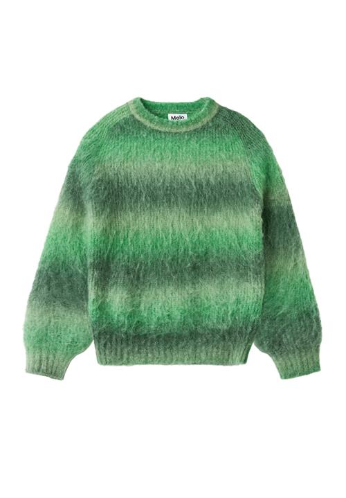 Molo Bosse Jumper Space Dye Green Space Dye Green 146/152 cm  Grøn  146/152 cm  Drenge
