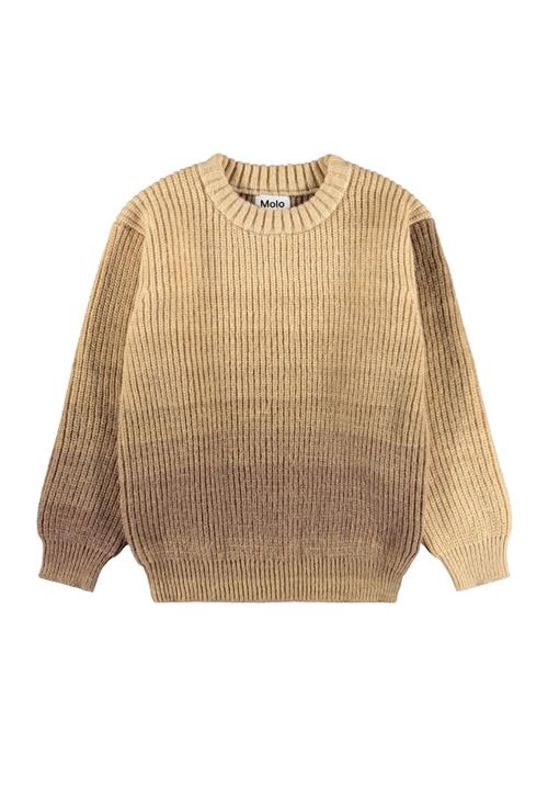 Molo Bello Jumper Elmwood Space Elmwood Space 110/116 cm  Brun  110/116 cm  Drenge