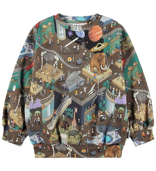Molo Sweatshirt - Monti - Pixeleum