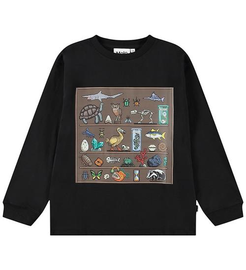 Molo Bluse - Rube - Pixellection