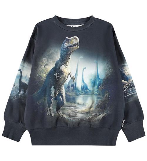 Molo Sweatshirt - Mattis - Twilight Dinos
