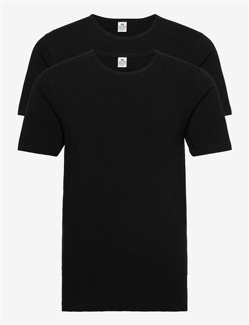 Dovre | Dovre T-Shirt 2-Pack Gots | XL
