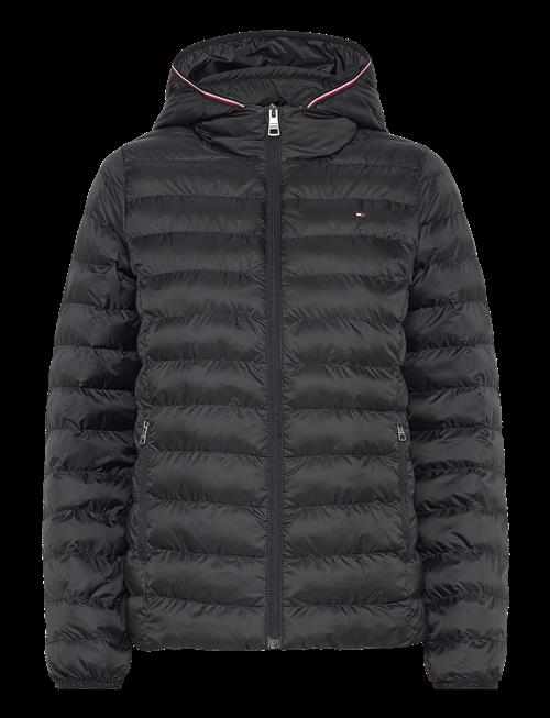 Tommy Hilfiger | Lw Padded Global Stripe Jacket | XL
