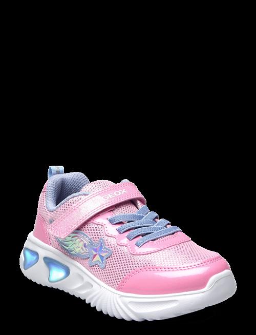 GEOX | J Assister Girl B | 33