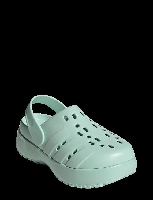 adidas Sportswear | Adilette Clog Platform | 43