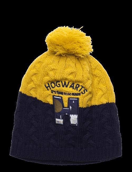 Harry Potter | Bonnet/Peruvien/Cagoule | 52