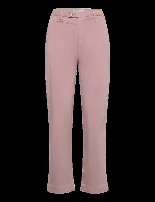 Pieszak | Pd-Anika Support Weekend Chino | 28 x 32