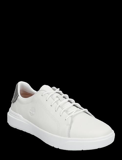 Timberland | Seneca Bay Low Lace Up Sneaker Blanc De Blanc | 44