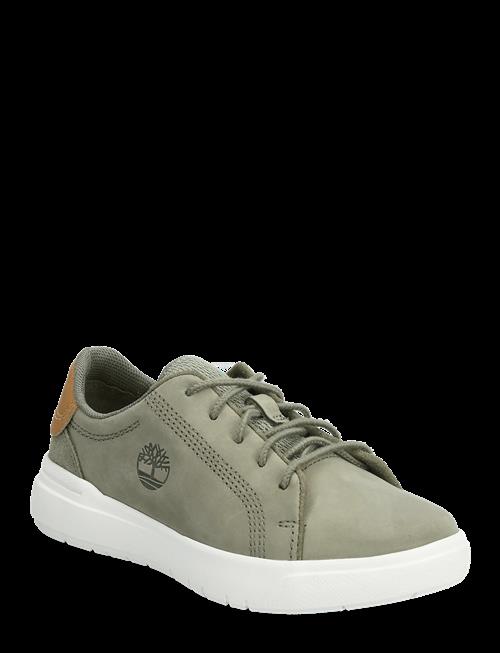 Timberland | Seneca Bay Low Lace Up Sneaker Deep Lichen Green | 34