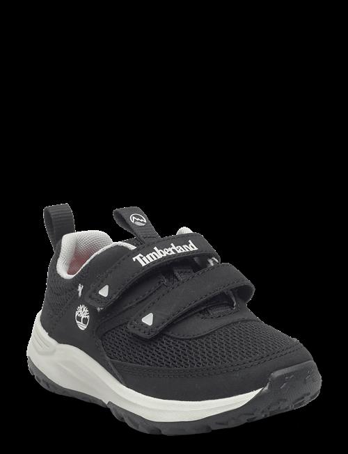 Timberland | Motion Access Low Hook & Loop Sneaker Black Mesh | 28