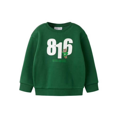 NAME IT Sweatshirt Nikan Eden