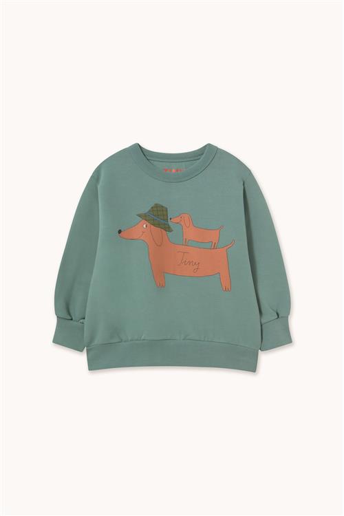 Tinycottons Two Dogs Graphic Sweatshirt Teal-3y  Blå  3 år  Drenge, Piger