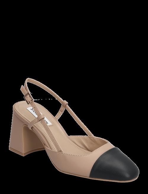 Steve Madden | Zeina | 41