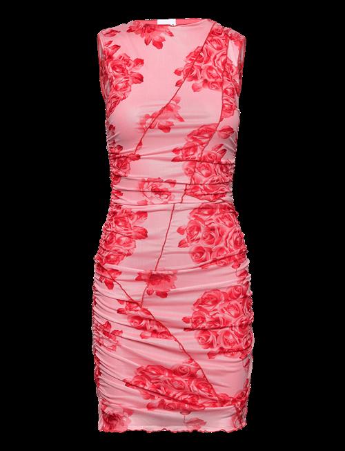 Noella | Sutton Short Dress | XXL