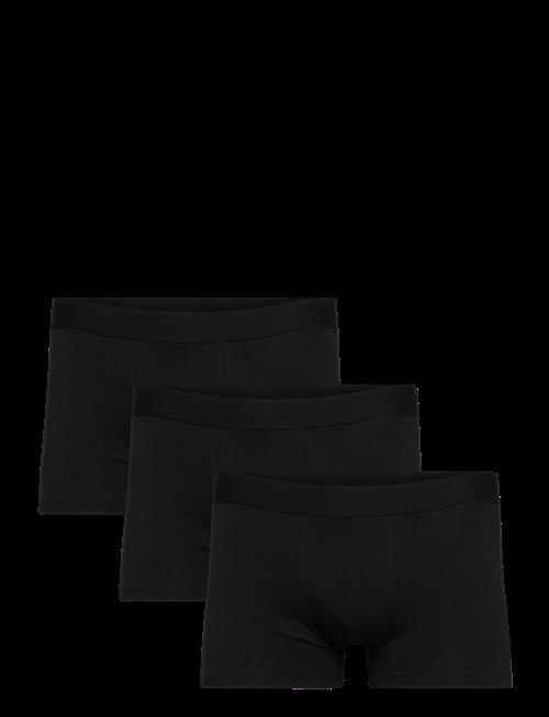 Bread & Boxers | 3-Pack Trunk | L