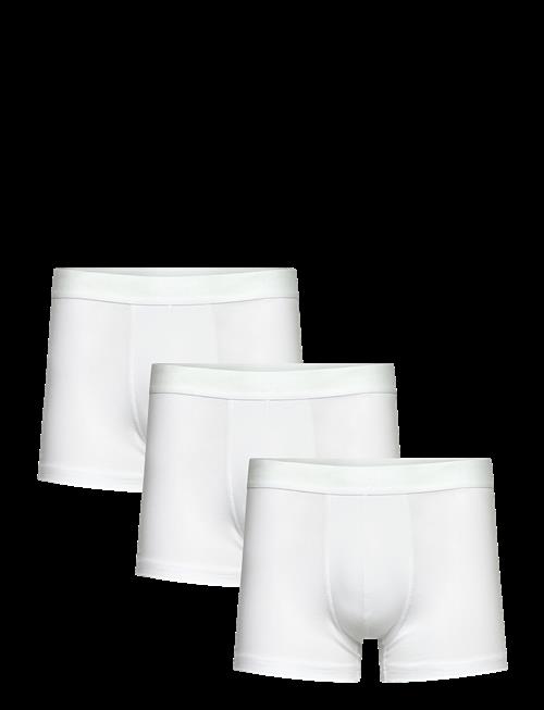 Bread & Boxers | 3-Pack Trunk | S
