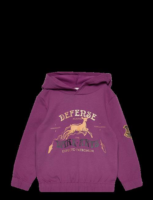 Harry Potter | Sweats | 104