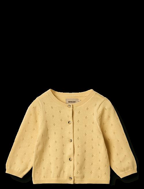 Wheat | Knit Cardigan Maia | 68