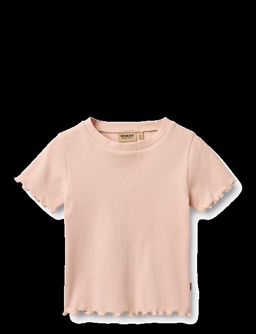 Wheat | Rib T-Shirt S/S Alicia | 110