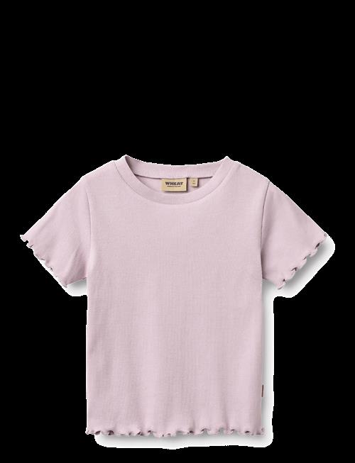 Wheat | Rib T-Shirt S/S Alicia | 110