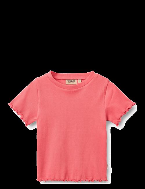Wheat | Rib T-Shirt S/S Alicia | 104