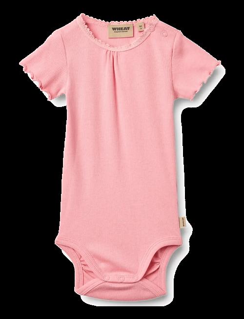 Wheat | Rib Body S/S Edna | 68