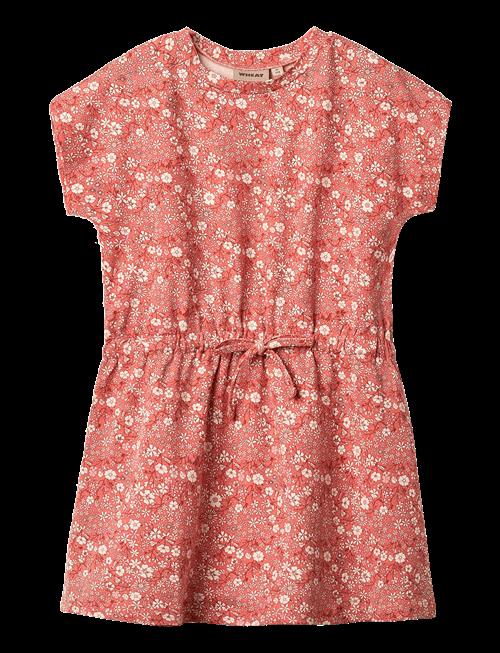 Wheat | Jersey Dress Maribel | 128
