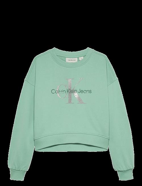 Calvin Klein | Glitter Monologo Cn Sweatshirt | 164