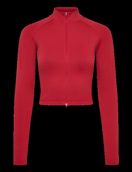 aim´n | Shape Seamless Zip Jacket | L