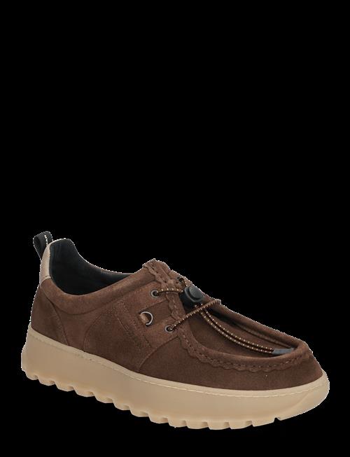 KLEMAN | Granite Vm | 42