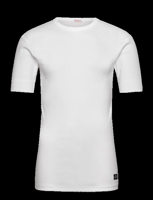 JBS of Denmark | Mn X Jbs Of Dk T-Shirt O-Neck | XXL