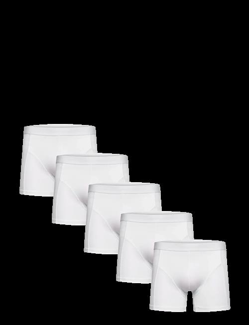Shine Original | 5 Pack Tights | XL