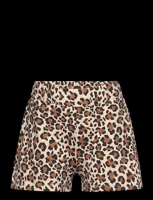 The New | Tnorella Shorts | 158/164