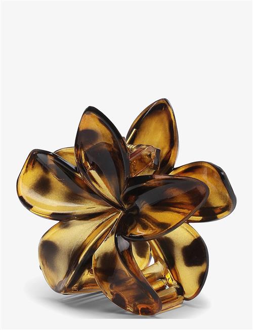 SUI AVA | Plumeria Clarity Big | BIG