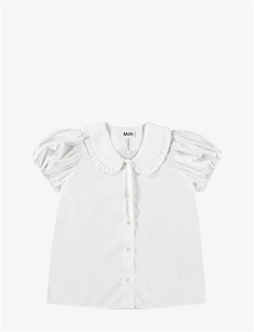 Molo | Rosabella | 110/116
