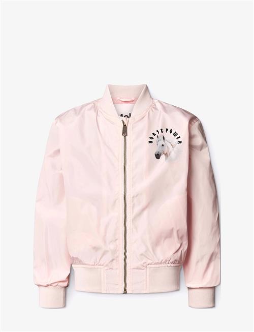 Molo | Haliva | 104