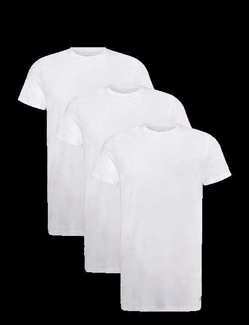 Calvin Klein | S/S Crew Neck 3Pk | XL