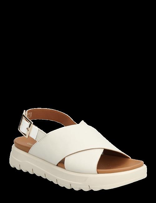 GEOX | D Xand 2.1S E | 41