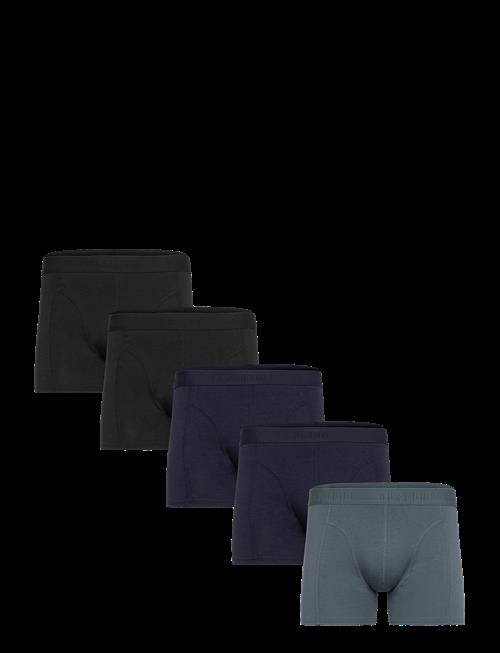 Claudio | Claudio 5-Pack Tights | XL