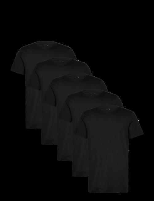 Claudio | Claudio 5-Pack T-Shirt Cotton | L