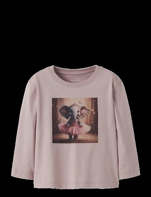 name it | Nmfvotea Ls Nreg Top | 104