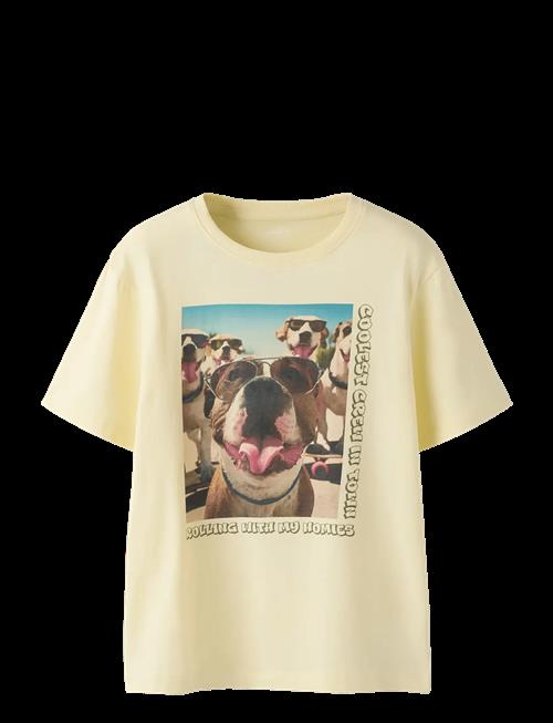 name it | Nkmvoto Ss Nreg Top | 116