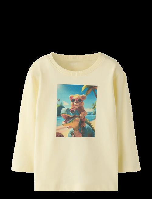 name it | Nmmvoto Ls Nreg Top | 110
